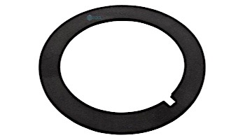Pentair Bulkhead Notched Gasket | 51013600