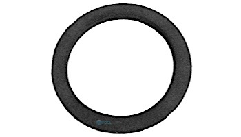 Pentair Bulkhead Gasket | 51021500