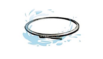 Pentair Clamp Assembly For Filters After 11/94 | 98219500
