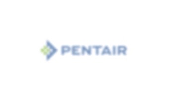 Pentair Standpipe-Lateral Assembly | 55027600