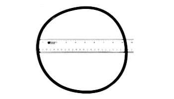 Pentair Tank Body O-Ring for Clean and Clear Predator Warrior Filters | 87300400 87300400Z