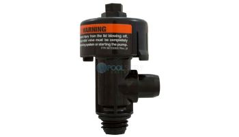 Pentair High Flow Air Relief Assembly | 98209800