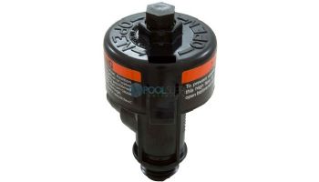 Pentair High Flow Air Relief Assembly | 98209800