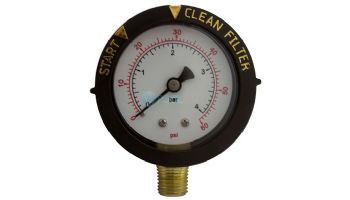 Pentair High Flow Air Relief Assembly | 98209800