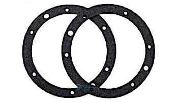 Pentair Small Niche Gasket Set with Double Wall Gasket | 79207900