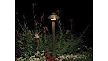 SaguaroPetite Bronze 20 Watt 12" Riser | SP-20-12R-BZ | 223631