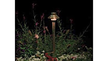 SaguaroPetite® Copper 20 Watt 18" Riser | SP-20-18R-CU | 223730