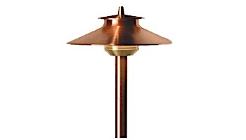 DelMare® 20 Watt Bronze with 12" Riser | DM-20-12R-BZ | 226331