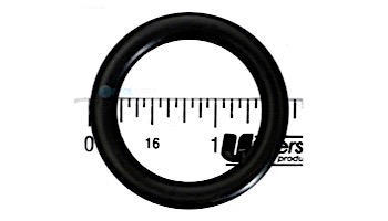 Pentair Bulb Assembly O-Ring for AquaLuminator | 79116900