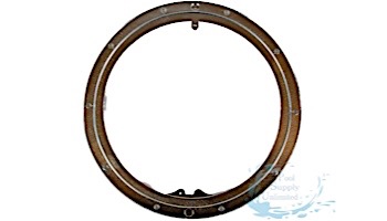Pentair Liner Sealing Ring Standard 10-Hole | 79200200