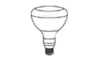 Pentair Flood Lamp Med Base | 300W 120V | 79107600