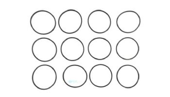 Hayward Turbo Cell Union O-Ring | GLX-UNION-ORING