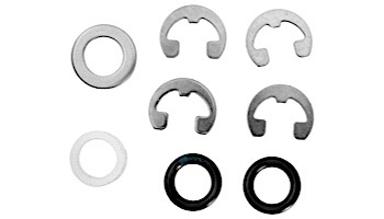 Hayward Piston Kit  RG450/RG700 | RGX45RA