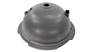 Hayward Filter Head with Vent Valve | CX900B