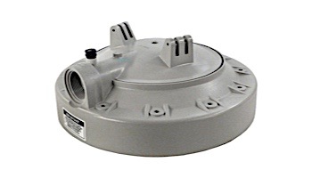 Hayward Filter Head with Vent Valve | ECX10334P