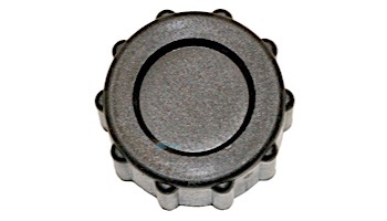 Hayward Drain Cap | SX200Z8
