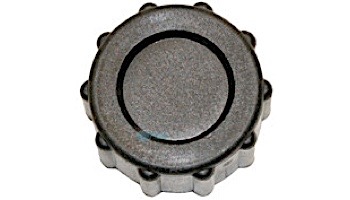 Hayward Drain Cap | SX200Z8
