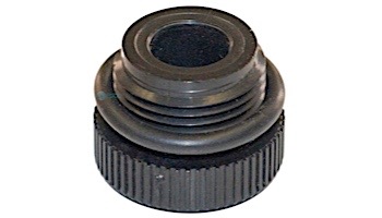 Hayward Drain Plug with O-Ring | GMX152Z4A