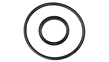 Hayward O-Ring | CCX1000Z5