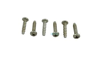 Hayward Cover Screw 6PK | SPX0704Z1A