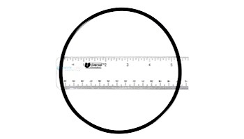 Hayward Cover O-Ring SP0710/SP0711 MPV | SPX0710Z3