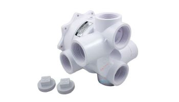 Hayward SP0715 Series 2" Vari-Flo Valve Replacement Parts | Valve Body with Gasket and Sight Glass | SPX0715ALLAA