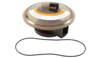 Pentair In-Floor formerly A&A Manufacturing Clear Low Profile Valve Lid Assembly with O-Ring | 524664 | 230045