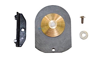 Hayward Check Valve Assembly | SPX1500RA
