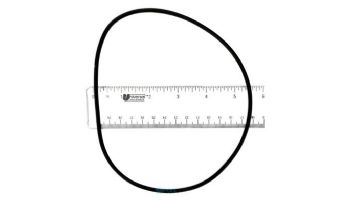 Hayward Housing O-Ring Gasket | SPX1705Z1