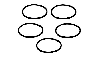 Pentair In-Floor formerly A&A Manufacturing Caretaker Small O-Ring | 5 Pack | 521261