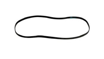 Hayward Booster Pump Ribbon Gasket | AX5060J