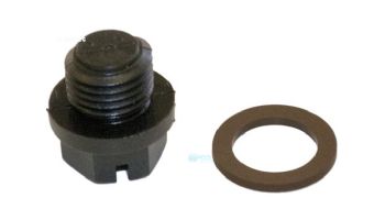 Hayward Pipe Plug with Gasket | SPX1700FGV