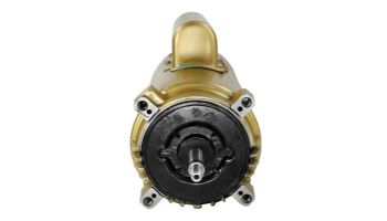 Hayward Motor Threaded Shaft | 2.5HP 230V | SPX1620Z1M