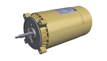 Hayward Threaded Shaft Motor | 1HP 115/230V 60 Hz 2-Speed | SPX1607Z2MS