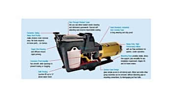 Hayward Super Pump | 115-230V 2HP Up Rated | W3SP2615X20
