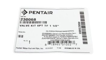 Pentair In-Floor formerly A&A Manufacturing 6 Port Top Feed Actuator Valve Kit 1.5" | 540269 | 230068