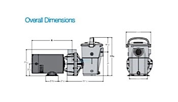 Hayward PowerFlo LX Above Ground Pool Pump | Strainer | 1.5HP 115V | W3SP1580X15 *Free Two-Day Shipping*