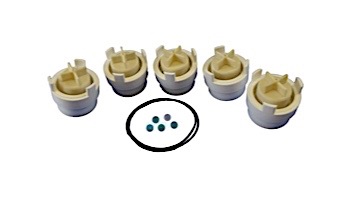 A&A Caretaker Piston Repair Kit | 521181