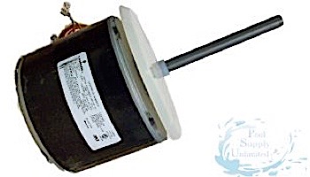 Hayward 1/3HP Motor | HPX11031134