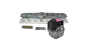 Hayward Low NOX Propane Gas Valve & NG-LP Conv Kit | IDXLGSV0002