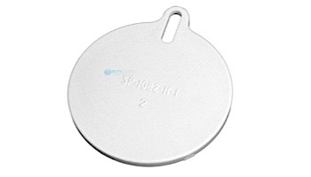 Hayward Float VLV ASY SP1080 Auto Skim | SP1082FV