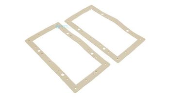 Hayward Sealing Gasket 2PK | SPX1090WMSG