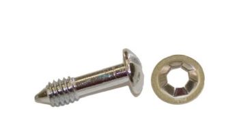 Hayward Sealed Beam Series Face Rim Lockscrew with Washer | SPX0503Z20A