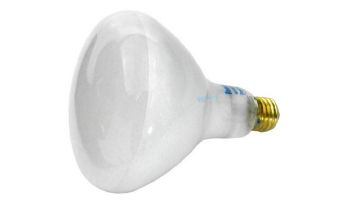 Hayward Bulb | 400W 110V G/FL | SPX0503Z5