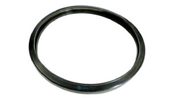 Hayward Special Hi-Temp Lens Gasket Replacement | SPX0503W