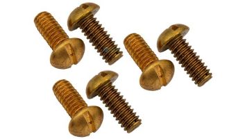 Hayward Securing Rim Screw | Set of 6 | SPX0503Z76