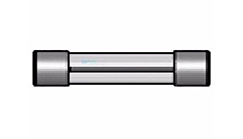 Hayward Electric Fuse 250MA | VRX100H