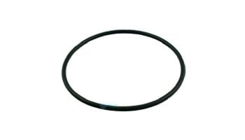 Hayward Pool Chlorinator O-Ring | CLX200K