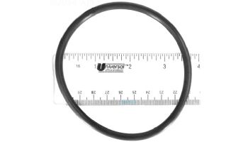 Hayward Lid O-Ring | CLX110K