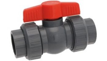 Hayward 2" Grey True Union Ball Valve | QTA1020CSEG